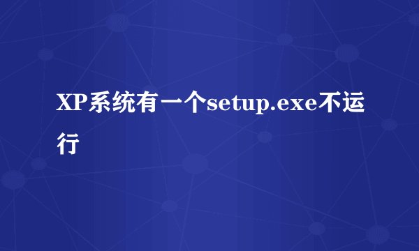 XP系统有一个setup.exe不运行