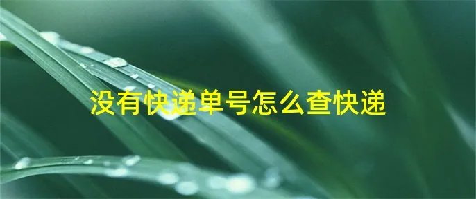 没有快递单号怎么查快递