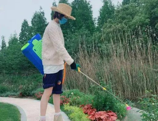 为什么张馨予微博晒照很接地气不像个明星?