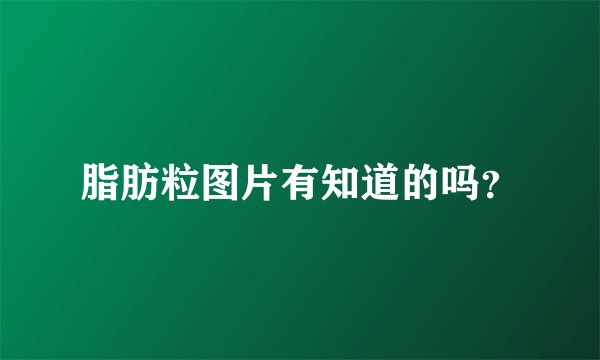 脂肪粒图片有知道的吗？