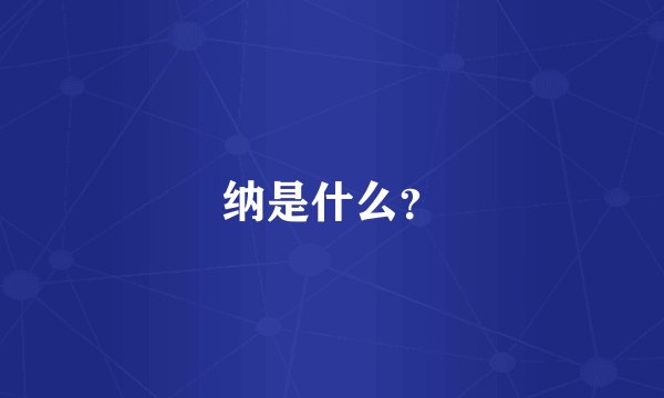 纳是什么?