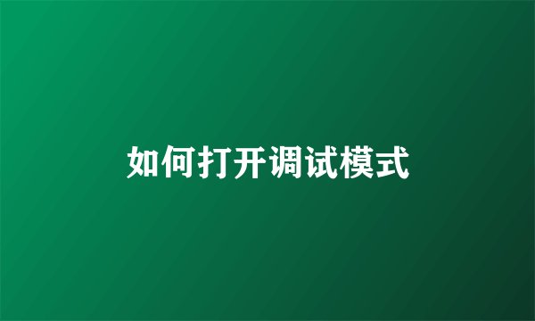 如何打开调试模式