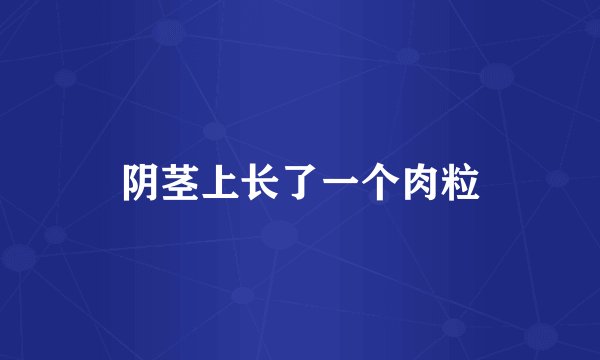阴茎上长了一个肉粒