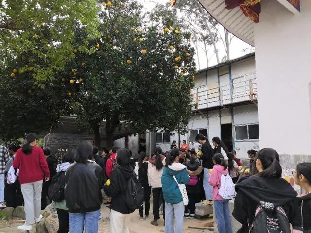 研学游是什么