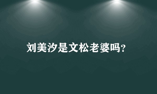 刘美汐是文松老婆吗？