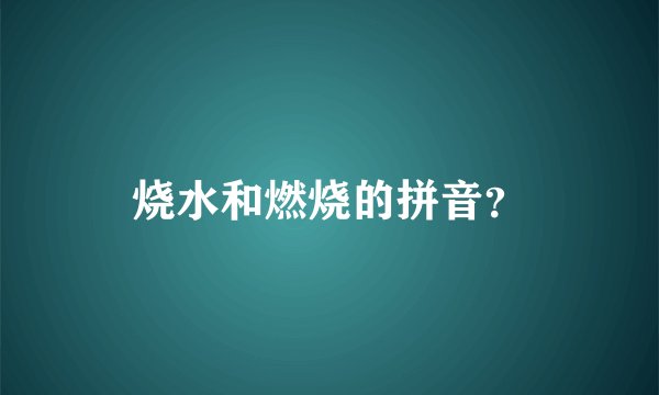 烧水和燃烧的拼音？