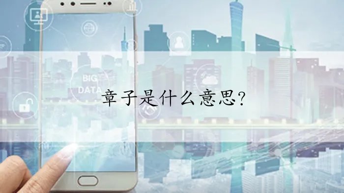 章子是什么意思？