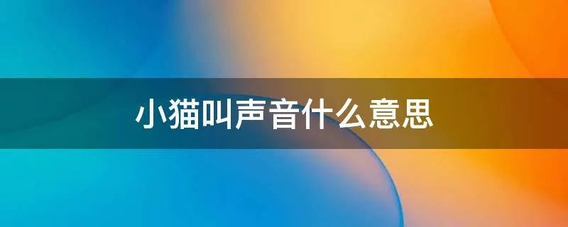 小猫叫声音什么意思