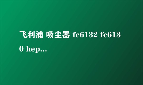 飞利浦 吸尘器 fc6132 fc6130 hepa过滤网多久用换
