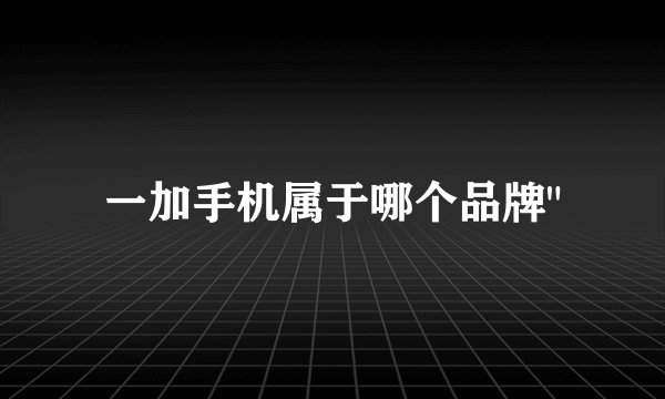 一加手机属于哪个品牌
