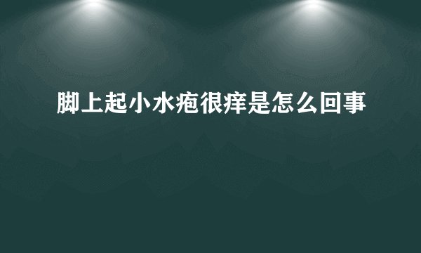 脚上起小水疱很痒是怎么回事