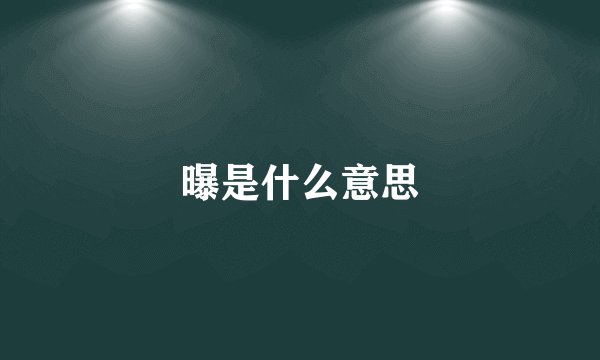 曝是什么意思