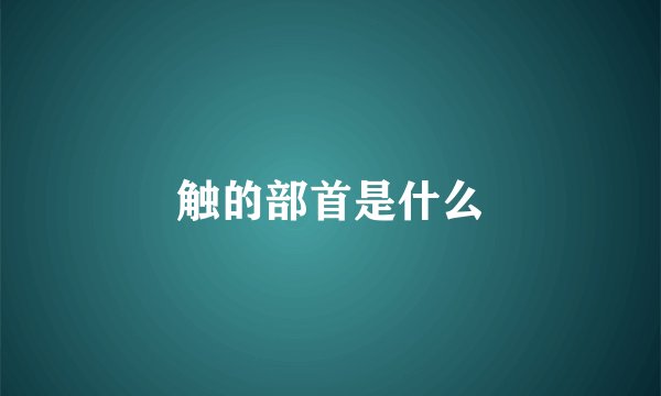 触的部首是什么
