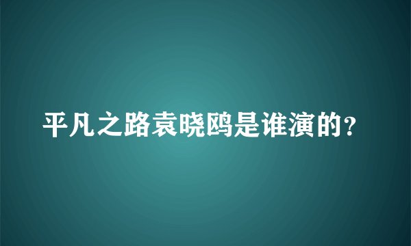 平凡之路袁晓鸥是谁演的？