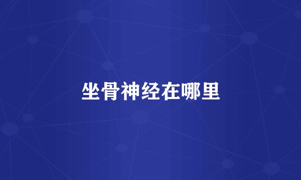 坐骨神经在哪里