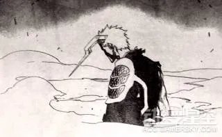 动漫星空晚报| 海贼王漫画828 《全职猎人》单行本发售引热议