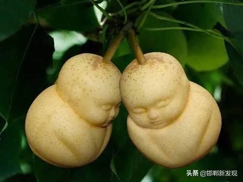 邯郸市有什么特产?