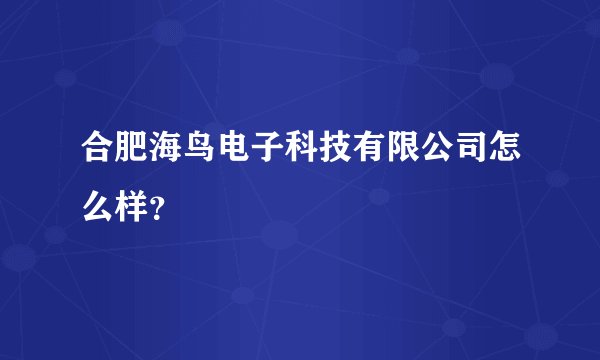 合肥海鸟电子科技有限公司怎么样?