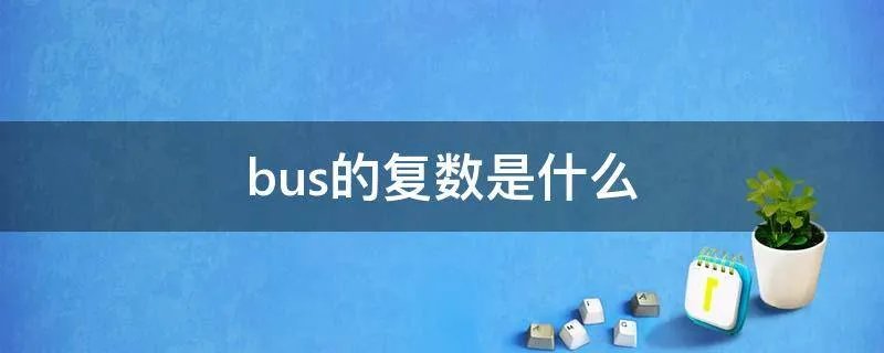 bus的复数是什么