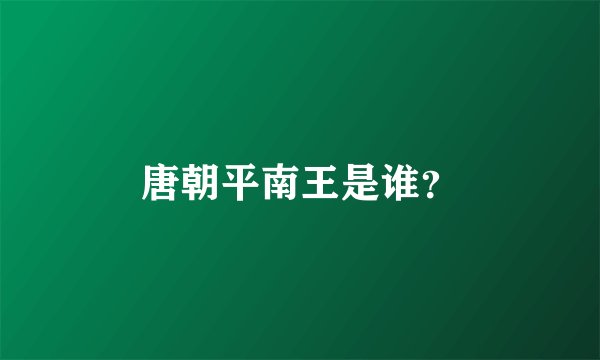 唐朝平南王是谁？