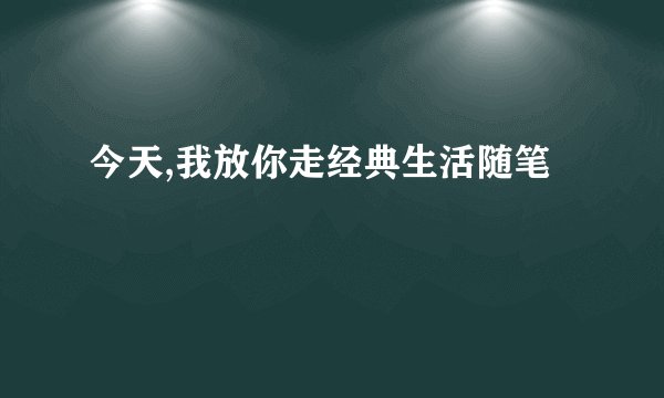 今天,我放你走经典生活随笔