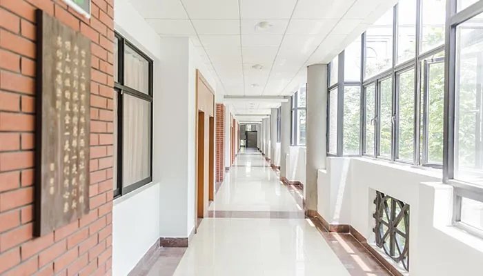 管理科学与工程专业排名