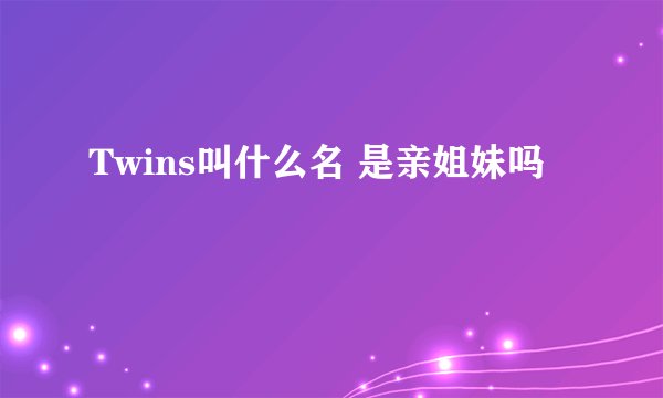 Twins叫什么名 是亲姐妹吗