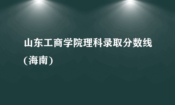 山东工商学院理科录取分数线(海南)