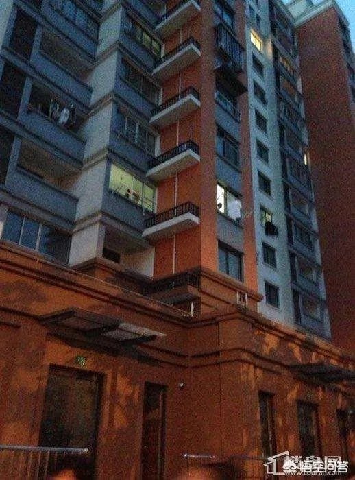 广州一女子被高空掉落的狗砸成重伤你怎么看？