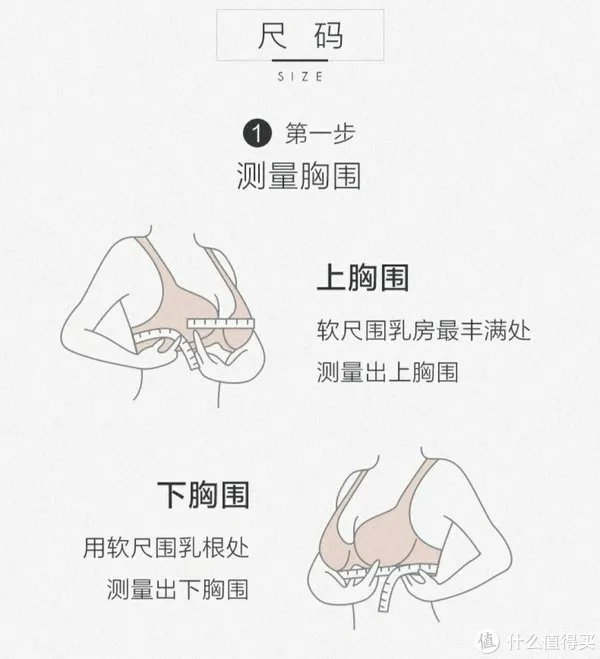 女士内衣