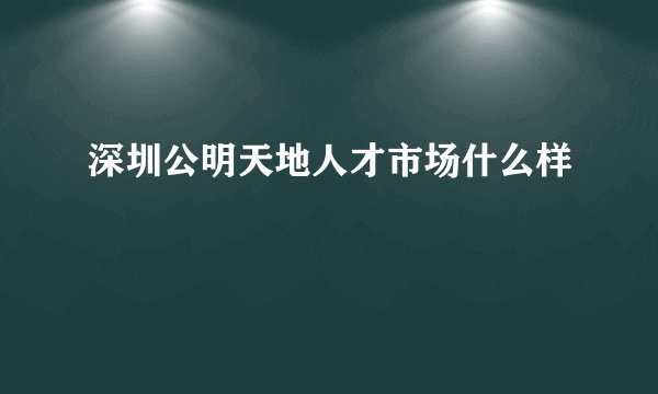 深圳公明天地人才市场什么样