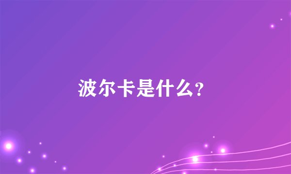 波尔卡是什么？