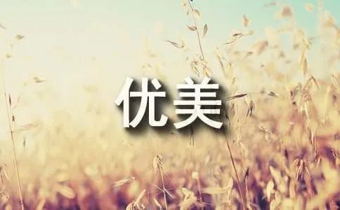 我牵爱伴游厦门优美散文