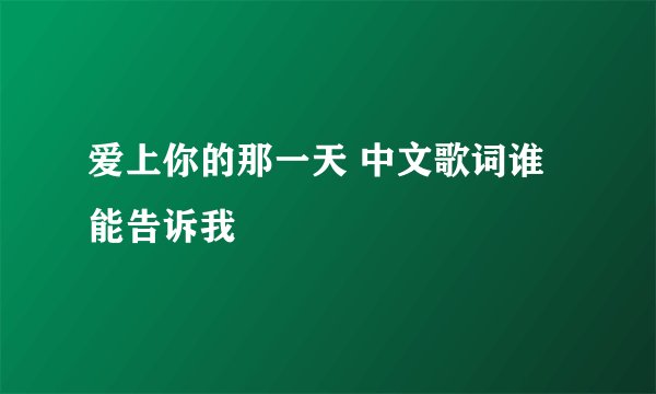 爱上你的那一天 中文歌词谁能告诉我