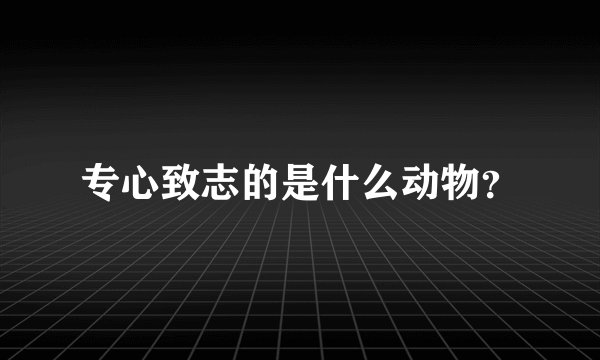专心致志的是什么动物？