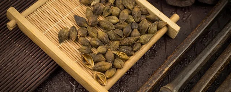 苍耳靠什么传播种子 苍耳传播种子的方法