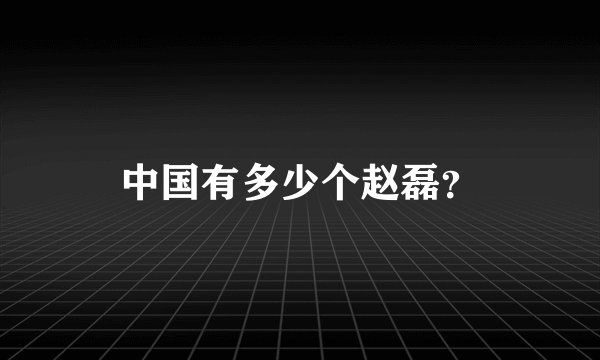 中国有多少个赵磊？