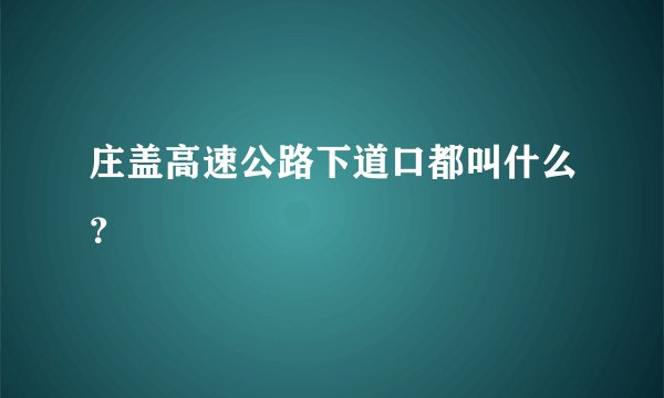 庄盖高速公路下道口都叫什么？