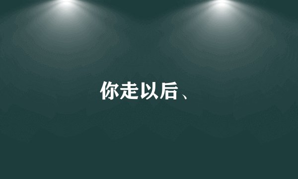 你走以后、