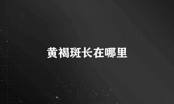 黄褐斑长在哪里