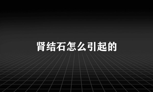 肾结石怎么引起的