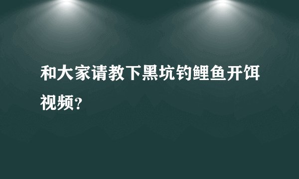 和大家请教下黑坑钓鲤鱼开饵视频？