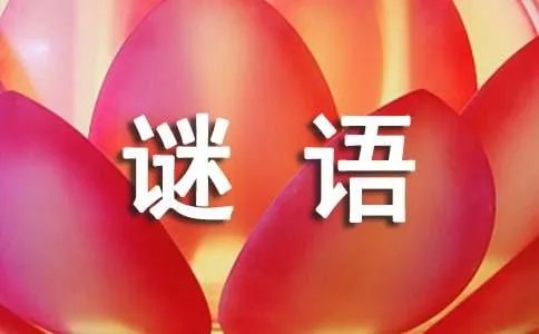 数字谜语