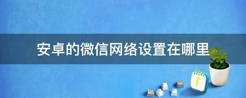 安卓的微信网络设置在哪里