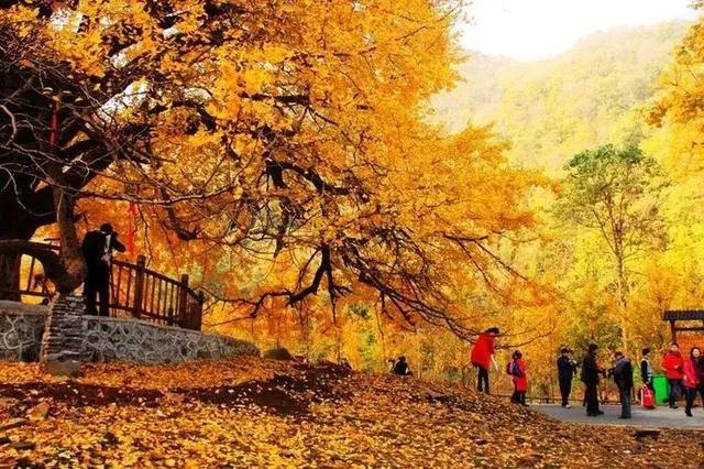 随州有哪些著名的旅游景点?
