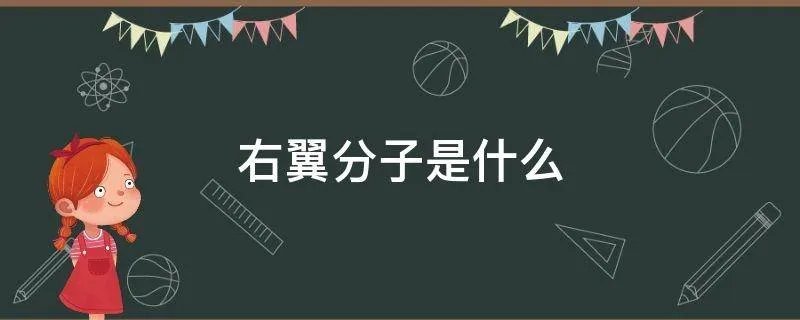 右翼分子是什么