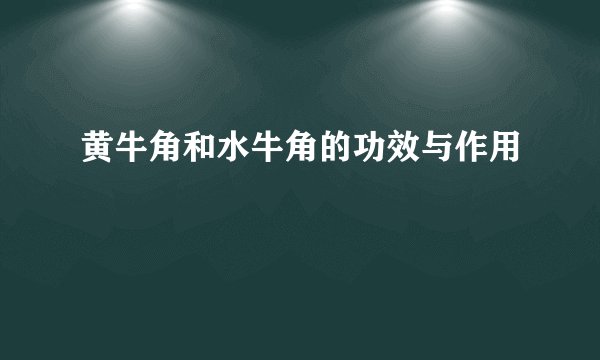 黄牛角和水牛角的功效与作用