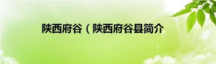 陕西府谷（陕西府谷县简介