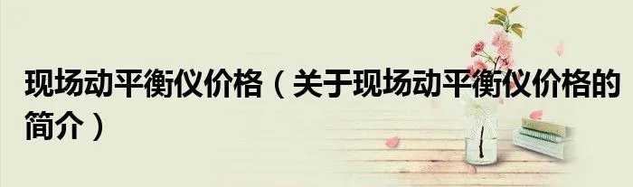 现场动平衡仪价格（关于现场动平衡仪价格的简介）
