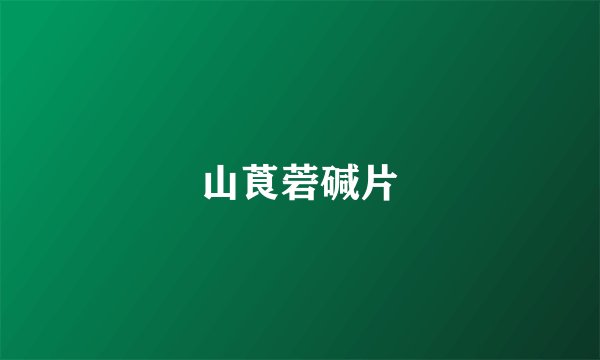 山莨菪碱片